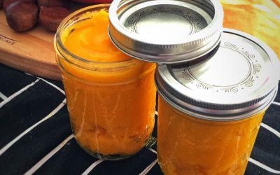 Homemade Butternut Squash Puree
