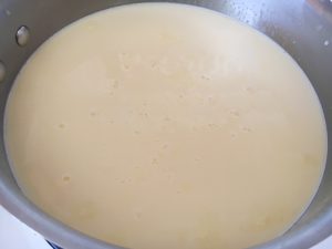 Lemon Chia Seed Pudding - Ingredients